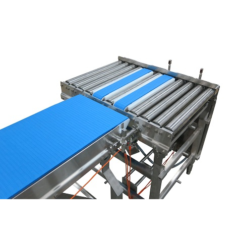 Transfer Conveyor In Russia